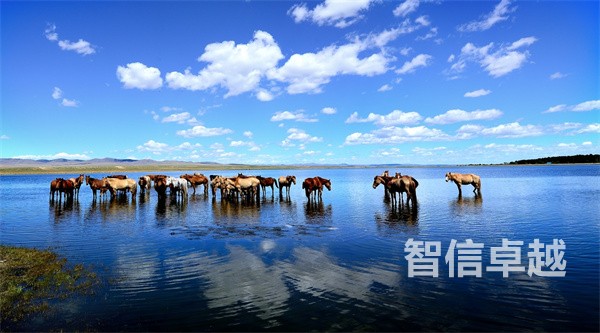 日語證件翻譯-專業(yè)的日語證件翻譯公司