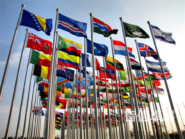 專業(yè)的圖紙翻譯-日語圖紙翻譯的收費價格