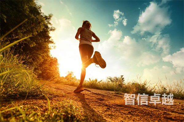 法律翻譯-荷蘭語(yǔ)法律翻譯