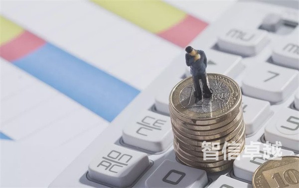 財務(wù)分析報告西班牙語翻譯價格是多少
