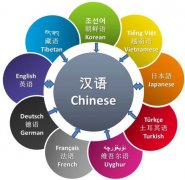 專業(yè)的英語翻譯公司具備哪些特點