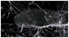 機(jī)械翻譯對(duì)于需要譯員有要求嗎