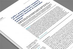 如何選擇一家專(zhuān)業(yè)的文獻(xiàn)翻譯公司