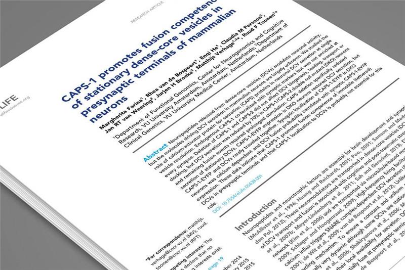 如何選擇一家專(zhuān)業(yè)的文獻(xiàn)翻譯公司