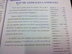 成都西班牙語翻譯多少錢