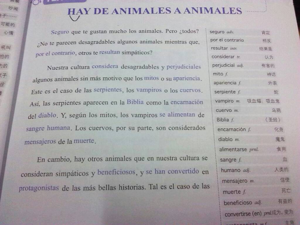 成都西班牙語翻譯多少錢